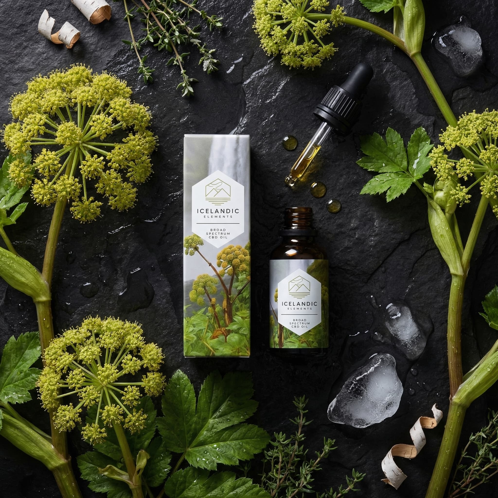 Angelica Balance Oil — flatlay