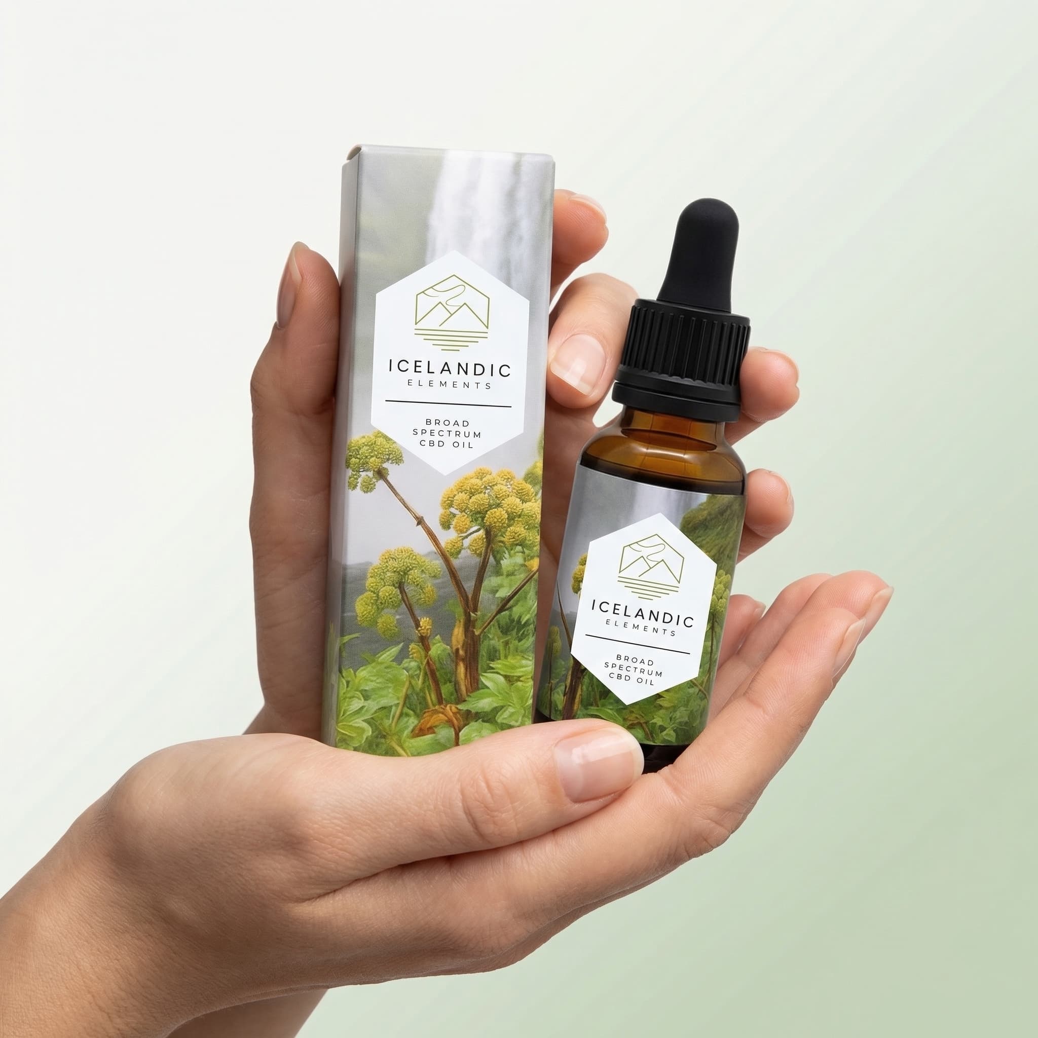 Angelica Balance Oil — scale