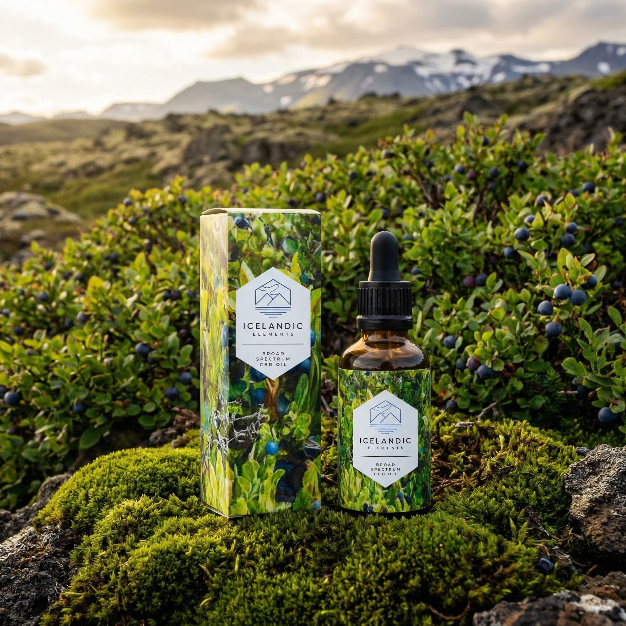 Bilberry Renewal Broad Spectrum Oil